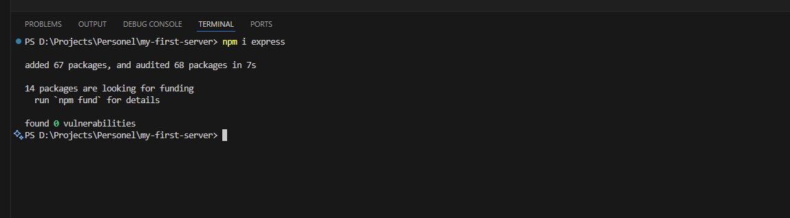 Terminal output showing npm install express command